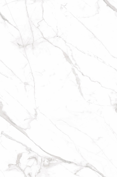 Marble Wall Floor Tile TL 06419 Calactta Borghini Satuario ft x